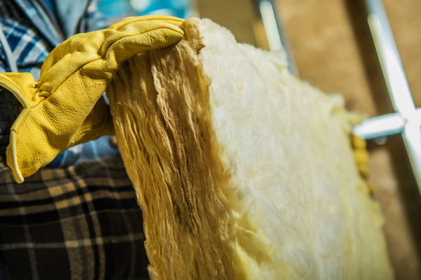 Best Eco-Friendly Insulation in Blacklick Estates, OH